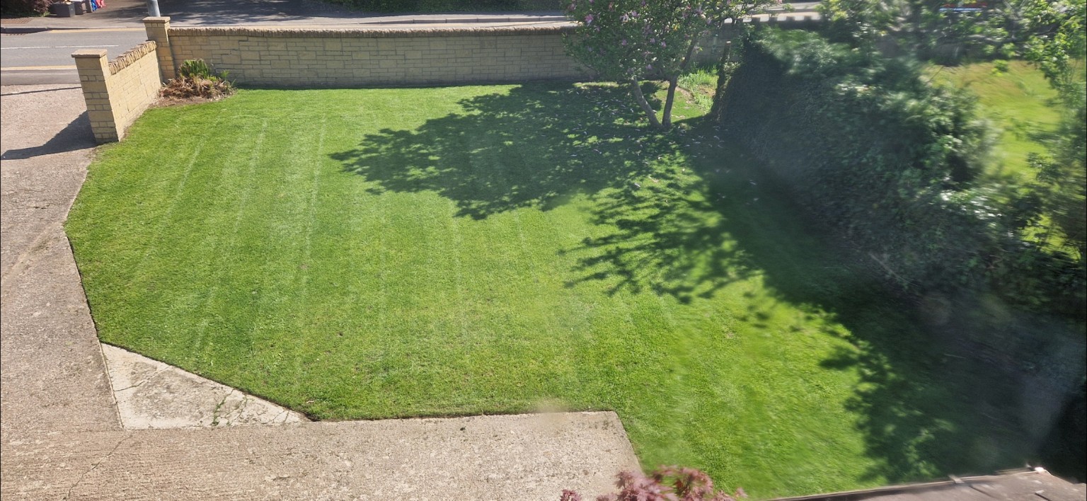 After Lawn Renovation